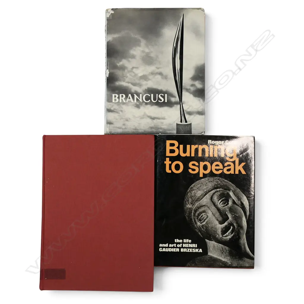 THREE PUBLICATIONS ON BRANCUSCI AND ONE ON GAUDIER BRZESKA Image 1++